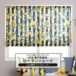 [}VF[h TCYI[_[ h^ I^ 30`240cm 50`200cm yYH838z [l [1]  Ռ  XgCv u₩ k u[ lCr[ OKC5