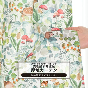 J[e TCYI[_[ 50`270cm 50`260cm yYH853z or [1]  Ռ   t LmR q gC OKC5