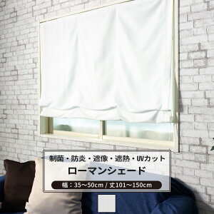 [11OFFN[|×111] [}VF[h VF[hJ[e [X R h Ց h^ VO 34`50cm 101`150cm yRB259z sAA[X 1 OKC5