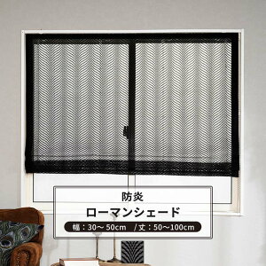 [ő10OFFN[|] [}VF[h TCYI[_[ h^ 34`50cm 50`100cm yRB464z [F [1]  h ubN[X  ubN OKC5