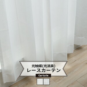 ~[J[e G} L GAN[ TCYI[_[ 201`250×251`300cm 1 [R ybg hL hJr AM[΍ J[e [XJ[e { ] OKC5