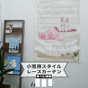 [|Cg5{×5] p[XJ[e/PARIS/yRH436z45cm/65cm×110cm[1] 3X^CIׂ܂ op J[e [X s[RbN t o[ ς_ EHbVu 