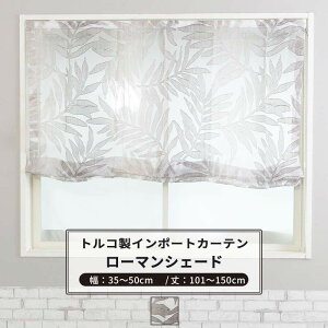 [|Cg5{×30] [}VF[h VF[hJ[e  I^ 30`50cm 101`150cm yYH825zog [1] uE [X 썑 i` OKC5