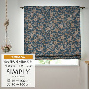 [|Cg5{×5] JtFVF[h  VF[h TCYI[_[ 46`100cm 50`100cm p ˂_VF[h [}VF[h  킢 OK Xbg 1cmPʂŃI