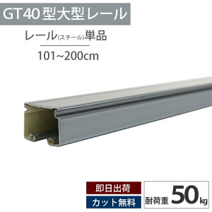 �X�`�[�� ���[�� 2m �ω׏d50kg ��^���[�� �d�ʗp�J�[�e�����[�� �H�� �X�� �{�� �d���J�[�e�� �r�j�[���J�[�e�� �l�b�g �r�j�[�����邷 GT40�^ �yTT15L10-AS�z H-N-0