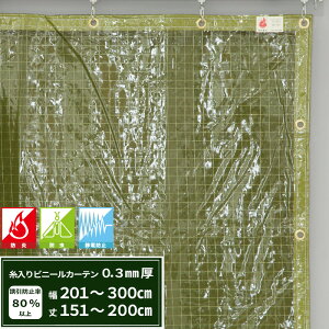 �r�j�[���J�[�e�� ������ �h�� �h�� �Ód�h�~ 0.3mm�� ��201�`300cm ��151�`200cm �ΐF �G�R�O���[�� �Ԏd�؂� �J���� �ߓd �h�o �h���΍� �T�C�Y�I�[�_�[ �yFT05�z JQ