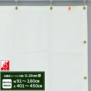 {V[g GXeh2 z{V[g 0.28mmt 91`180cm 401`450cm ό h J悯  ς݃V[g eg Jo[ TCYI[_[ yFT12z JQ