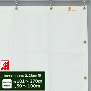 {V[g GXeh2 z{V[g 0.28mmt 181`270cm 50`100cm ό h J悯  ς݃V[g eg Jo[ TCYI[_[ yFT12z JQ