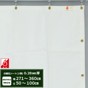 {V[g GXeh2 z{V[g 0.28mmt 271`360cm 50`100cm ό h J悯  ς݃V[g eg Jo[ TCYI[_[ yFT12z JQ