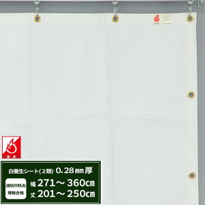 {V[g GXeh2 z{V[g 0.28mmt 271`360cm 201`250cm ό h J悯  ς݃V[g eg Jo[ TCYI[_[ yFT12z JQ