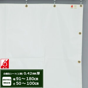 {V[g GXeh1 z{V[g 0.42mmt 91`180cm 50`100cm ό h J悯  ς݃V[g eg Jo[ TCYI[_[ yFT13z JQ