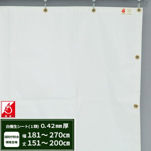 {V[g GXeh1 z{V[g 0.42mmt 181`270cm 151`200cm ό h J悯  ς݃V[g eg Jo[ TCYI[_[ yFT13z JQ