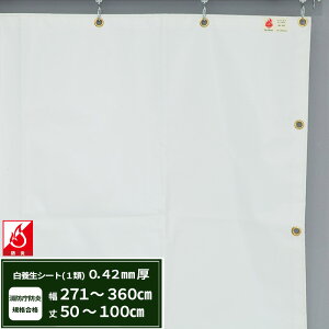[}\|Cg5{] {V[g GXeh1 z{V[g 0.42mmt 271`360cm 50`100cm ό h J悯  ς݃V[g eg Jo[ TCYI[_[ yFT13