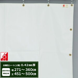 {V[g GXeh1 z{V[g 0.42mmt 271`360cm 451`500cm ό h J悯  ς݃V[g eg Jo[ TCYI[_[ yFT13z JQ