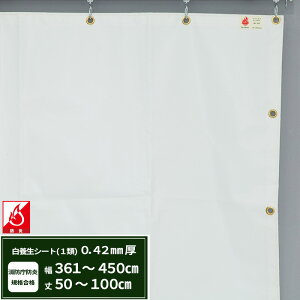 {V[g GXeh1 z{V[g 0.42mmt 361`450cm 50`100cm ό h J悯  ς݃V[g eg Jo[ TCYI[_[ yFT13z JQ