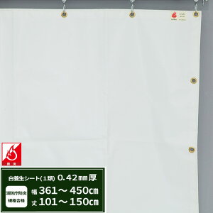 {V[g GXeh1 z{V[g 0.42mmt 361`450cm 101`150cm ό h J悯  ς݃V[g eg Jo[ TCYI[_[ yFT13z JQ