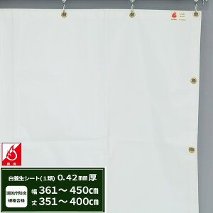 {V[g GXeh1 z{V[g 0.42mmt 361`450cm 351`400cm ό h J悯  ς݃V[g eg Jo[ TCYI[_[ yFT13z JQ