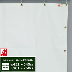 [}\|Cg5{] {V[g GXeh1 z{V[g 0.42mmt 451`540cm 201`250cm ό h J悯  ς݃V[g eg Jo[ TCYI[_[ yFT13