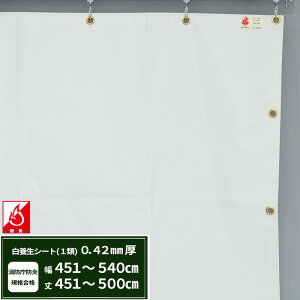 {V[g GXeh1 z{V[g 0.42mmt 451`540cm 451`500cm ό h J悯  ς݃V[g eg Jo[ TCYI[_[ yFT13z JQ