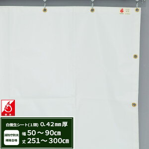 {V[g GXeh1 z{V[g 0.42mmt 50`90cm 251`300cm ό h J悯  ς݃V[g eg Jo[ TCYI[_[ yFT13z JQ