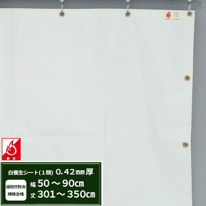 {V[g GXeh1 z{V[g 0.42mmt 50`90cm 301`350cm ό h J悯  ς݃V[g eg Jo[ TCYI[_[ yFT13z JQ