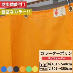 rj[J[e J[ ^[|n h 0.35mm 451`540cm 301`350cm     IW O[ {V[g Jo[ Ԏd؂ Jt J[e TCYI[_[ yFT17z   JQ