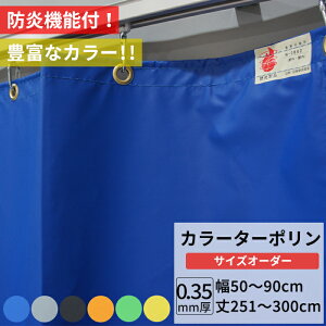 �r�j�[���J�[�e�� �J���[ �^�[�|�������n �h�� 0.35mm�� ��50�`90cm ��251�`300cm �� �� �� �� �I�����W �O���[ �{���V�[�g �J�o�[ �Ԏd�؂� �J���t�� �J�[�e�� �T�C�Y�I�[�_�[ �yFT17�z �� ���� JQ