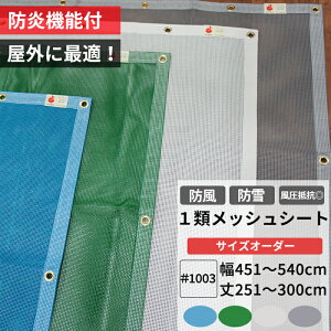 [Ԍ 10OFF] {1ރbVV[g h hlbg hlbg 451`540cm 251`300cm ^[|XN[ 1003 ho { h h 悯 悯 ډB X x_ J[|[g y