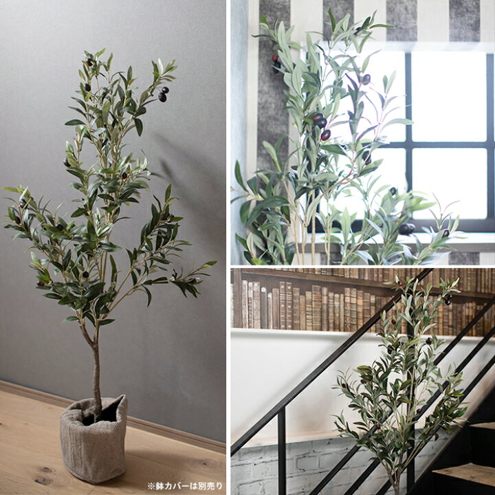 楽天市場 10 Offクーポン対象 25日限定 フェイクグリーン 人工観葉植物 オリーブの木 115cm インテリア おしゃれ フェイク グリーン 造花 大型 シンボルツリー インドアグリーン Diy