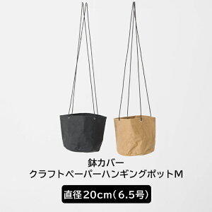 [10OFFN[|×10] Jo[  6.5 a20cm   uE ubN Ntgy[p[nMO|bg M C-F-1