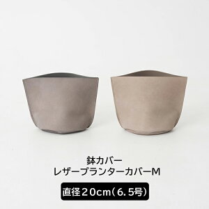 [|Cg5{×30] Jo[  6.5 a20cm  O[ x[W {v U[v^[Jo[M C-F-1