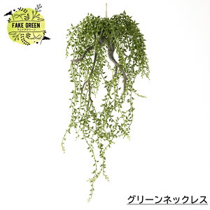観葉植物 グリーンネックレス 壁掛けの人気商品 通販 価格比較 価格 Com
