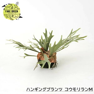 [|Cg5{×18] tFCNO[ Ǌ| nMOvc REM CeA  lHϗtA tFCN O[  ChAO[ C-F-1