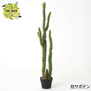 tFCNO[ T{e 118cm T{e CeA  lHϗtA tFCN O[  ChAO[ C-F-1