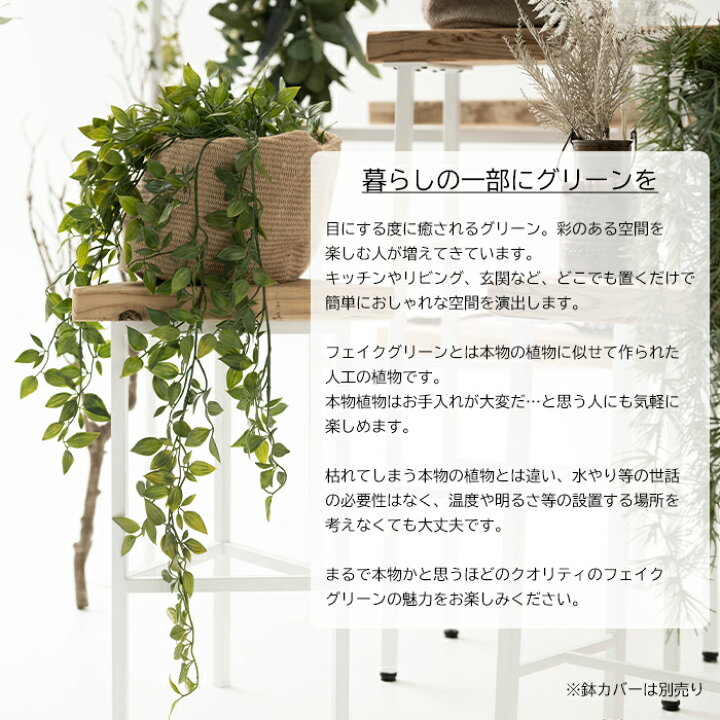 楽天市場 フェイクグリーン 人工観葉植物 卓上 ミニ フィカス シャングリラ ポット インテリア おしゃれ フェイク グリーン 造花 インドアグリーン Diy