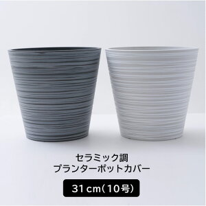 Jo[  10 [30cm Z~bNv^[|bgJo[ O[ zCg JQ