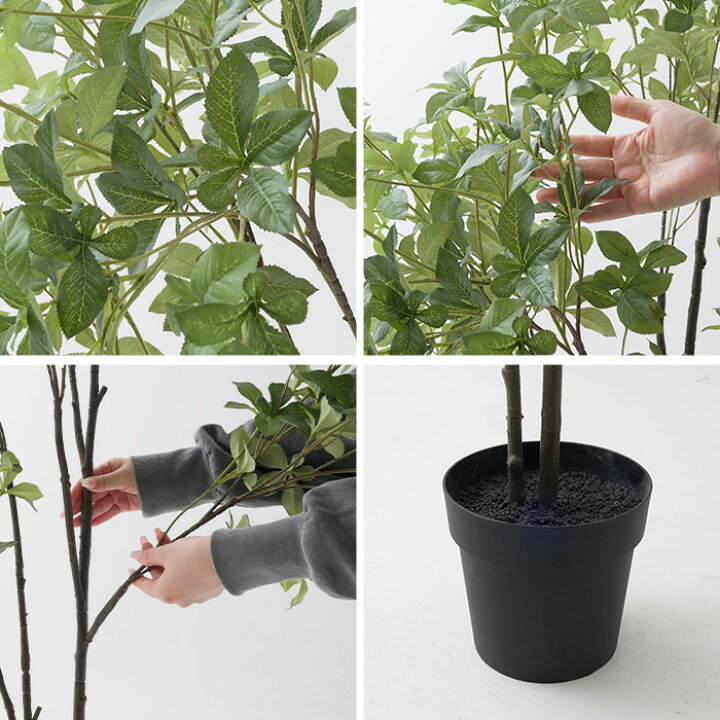 楽天市場】フェイクグリーン 大型 どうだんつつじ 木 175cm 観葉植物 