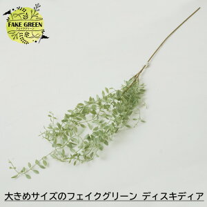 [}\N[|zz] tFCNO[ lHϗtA Ǌ| 傫߃TCỸtFCNO[ fBXLfBA CeA  tFCN O[  ChAO[ C-F-1