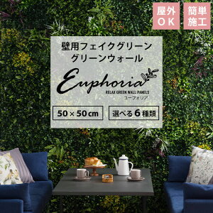 tFCNO[ Ǌ| 1 50cm×50cm O[pl O[  ǖ ǖʗΉ O ǂɗ ϗtA ډB f ԕȂ X O[EH[ Euphoria [tHA CSZ