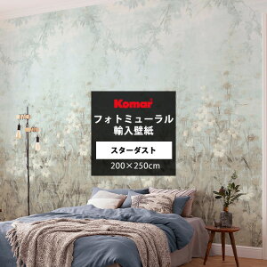 [10%OFF×X[p[Z[] ǎ ԕ 200×250cm Aǎ ~[ǎ  OK u[ 1[ hCc Komar X^[_Xg Stardust C-F-1