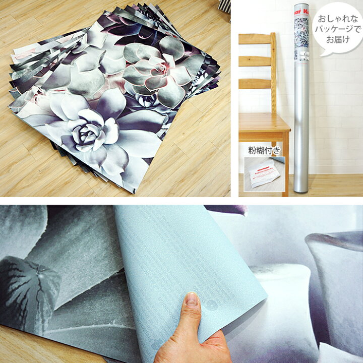 楽天市場 1000円オフクーポンあり 壁紙 多肉植物 輸入壁紙 デザイン おしゃれ 紙 クロス のり付き Diy リフォーム 撮影 背景 ドイツ製 8 962 Shades シェード Csz Diy