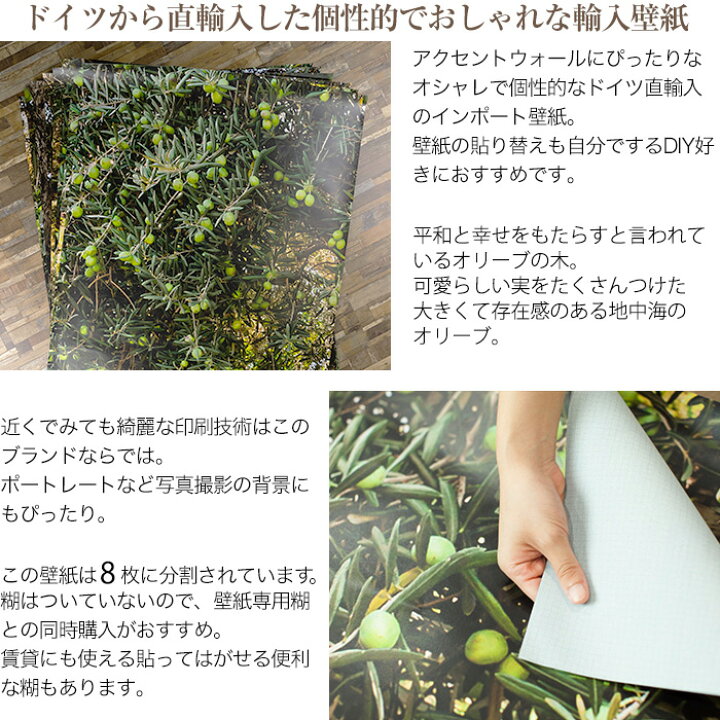 楽天市場 スーパーセール期間10 Off 壁紙 木 樹木 輸入壁紙 デザイン おしゃれ 紙 オリーブの木 地中海 クロス Diy リフォーム 撮影 背景 ドイツ製 8 531 Olive Tree オリーブツリー Csz Diy