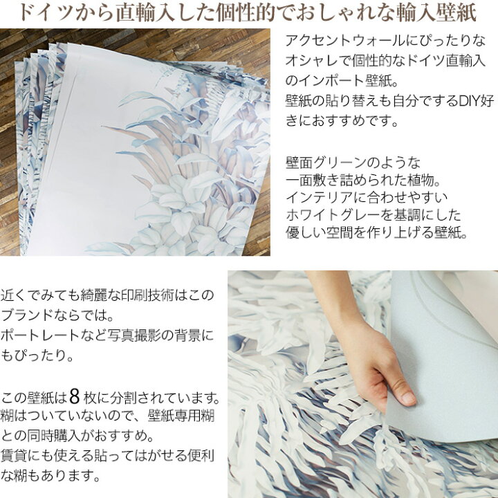 楽天市場 1000円オフクーポンあり 壁紙 壁面グリーン 植物 シャビー 輸入壁紙 デザイン おしゃれ 紙 ホワイトグレー クロス Diy リフォーム 撮影 背景 ドイツ製 8 878 Vertical Garden ヴァーチカルガーデン Csz Diy 楽天市場 1000円オフクーポンあり 壁紙 壁面グリーン 植物 シャビー 輸入壁紙 デザイン おしゃれ 紙 ホワイトグレー クロス Diy リフォーム 撮影 背景 ドイツ製 8 878 Vertical Garden ヴァーチカルガーデン Csz Diy