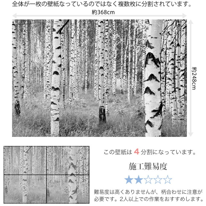 楽天市場 スーパーセール期間10 Off 壁紙 壁画 木 樹木 モノクロ 白黒 白樺 輸入壁紙 デザイン おしゃれ 不織布 クロス のり付きdiy リフォーム 撮影 背景 ドイツ製 Xxl4 023 Wood ホワイトバーチ Csz Diy 楽天市場 スーパーセール期間10 Off 壁紙 壁画 木 樹木 モノクロ 白黒 白樺 輸入壁紙 デザイン おしゃれ 不織布 クロス のり付きdiy リフォーム 撮影 背景 ドイツ製 Xxl4 023 Wood ホワイトバーチ Csz Diy
