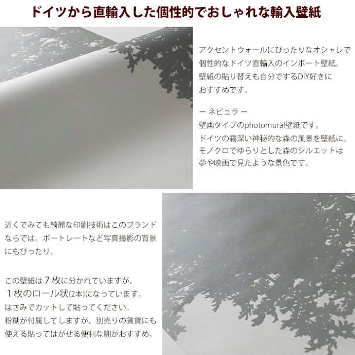楽天市場 壁紙 壁画 森林 木 モノクロ 輸入壁紙 デザイン おしゃれ 不織布 クロス のり付きdiy リフォーム 撮影 背景 ドイツ製 X7 1021 Nebula ネビュラ Csz Diy 楽天市場 壁紙 壁画 森林 木 モノクロ 輸入壁紙 デザイン おしゃれ 不織布 クロス のり付きdiy リフォーム 撮影 背景 ドイツ製 X7 1021 Nebula ネビュラ Csz Diy