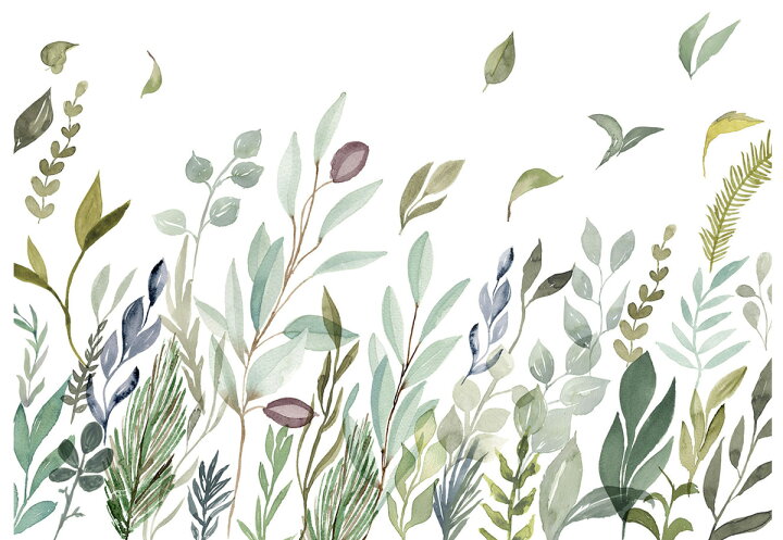 楽天市場 スーパーセール期間10 Off 壁紙 壁画 花 葉 植物 爽やか 輸入壁紙 デザイン おしゃれ 不織布 クロス のり付きdiy リフォーム 撮影 背景 ドイツ製 X7 1042 Breeze ジェントルブリーズ Csz Diy