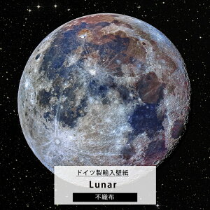 [10OFFN[|×10] ǎ ǉ  F MNV[ Aǎ fUC  sDz NX DIY tH[ ~[ǎ fUCǎ KomaryIANGX4-025zLunar [i[ C-F-1