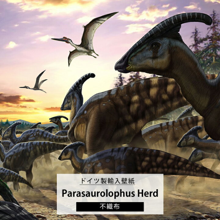 楽天市場 スーパーセール期間10 Off 壁紙 壁画 恐竜 輸入壁紙 デザイン おしゃれ 不織布 クロス のり付きdiy リフォーム 撮影 背景 ドイツ製 Iangx9 013 Parasaurolophus Herd パラサウロロフス ハード Csz Diy