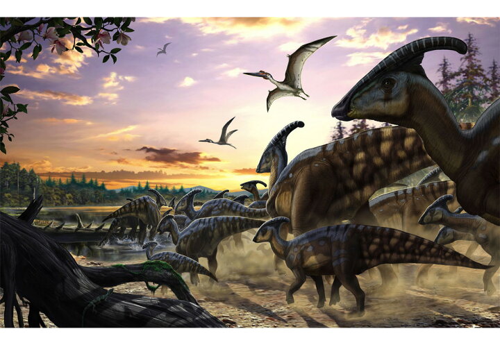 楽天市場 本日全商品ポイント5倍 壁紙 壁画 恐竜 輸入壁紙 デザイン おしゃれ 不織布 クロス のり付きdiy リフォーム 撮影 背景 ドイツ製 Iangx9 013 Parasaurolophus Herd パラサウロロフス ハード Csz Diy