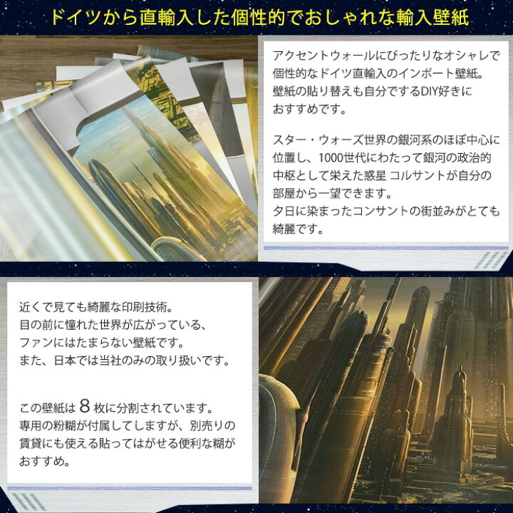 ポイント10倍日限定時 4時間 壁紙 シールタイプ 貼ってはがせる スターウォーズ ロゴ レトロ おしゃれ ドイツ製 Star Wars Typeface タイプフェイス Csz 年末年始大決算